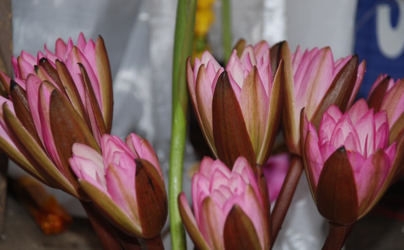 Empathy compels fair treatment of&nbsp;sources