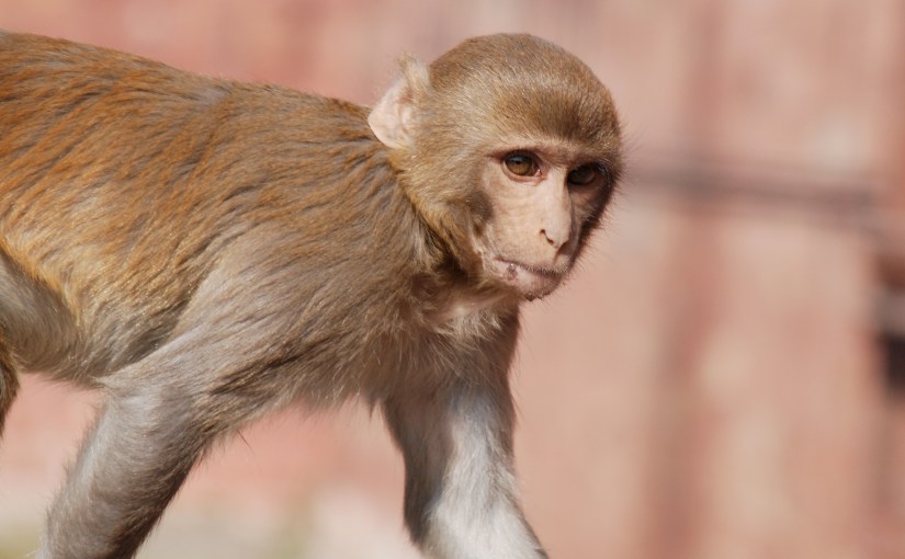 Empathize to Understand, Not to&nbsp;Agree